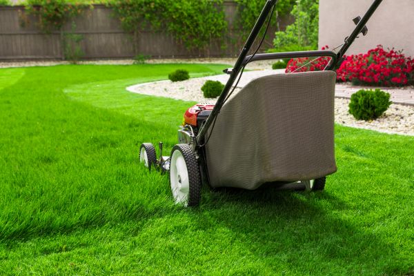 Home Yard Maintenance in Brunswick