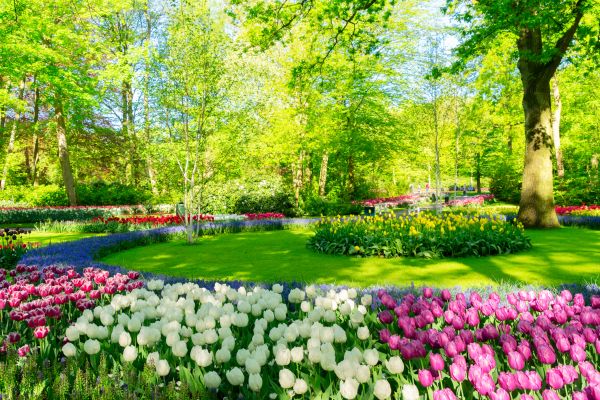 Spring Lawn Care in Brunswick