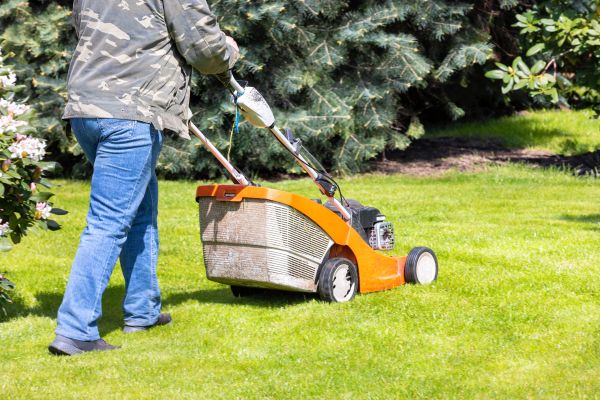 Springtime Lawn Care in Brunswick